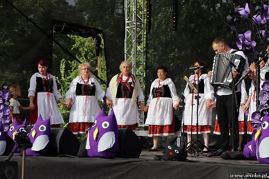 Grafika #91: X jubileuszowe Dni Gminy Wicko już za nami!!!