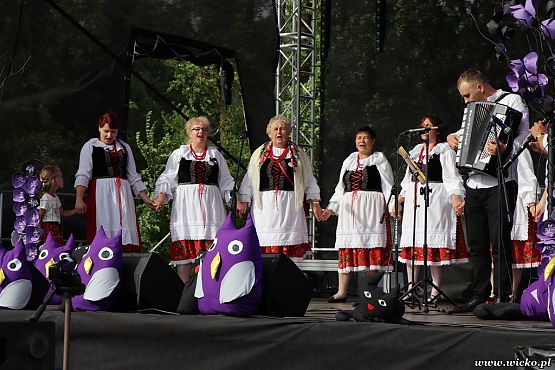 Grafika #92: X jubileuszowe Dni Gminy Wicko już za nami!!!