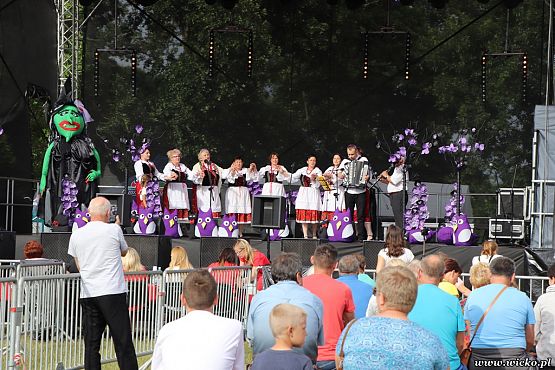Grafika #93: X jubileuszowe Dni Gminy Wicko już za nami!!!