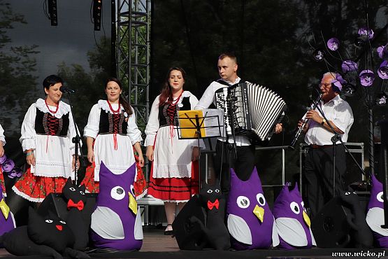 Grafika #96: X jubileuszowe Dni Gminy Wicko już za nami!!!