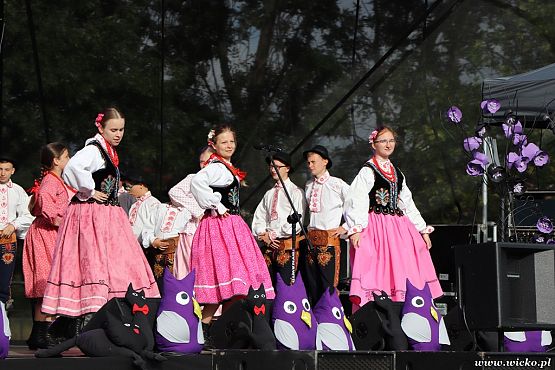 Grafika #106: X jubileuszowe Dni Gminy Wicko już za nami!!!