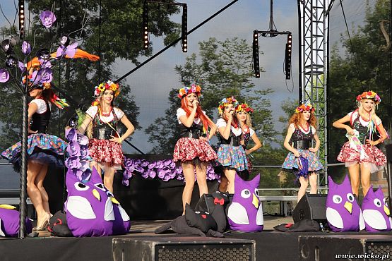 Grafika #112: X jubileuszowe Dni Gminy Wicko już za nami!!!