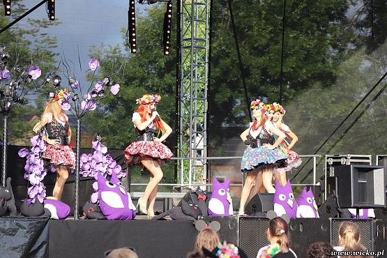 Grafika #114: X jubileuszowe Dni Gminy Wicko już za nami!!!