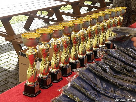 Grafika #1: Gorące serca i rytmy, czyli IX Miniolimpiada Osób Niepełnosprawnych w Charbrowie.