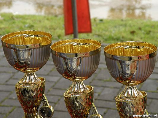 Grafika #2: Gorące serca i rytmy, czyli IX Miniolimpiada Osób Niepełnosprawnych w Charbrowie.