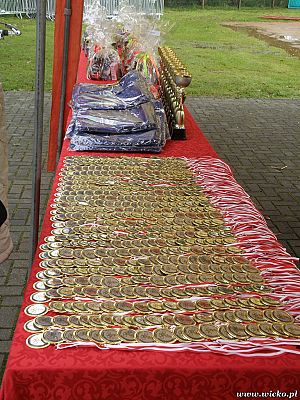 Grafika #3: Gorące serca i rytmy, czyli IX Miniolimpiada Osób Niepełnosprawnych w Charbrowie.