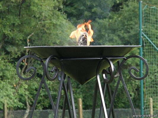 Grafika #7: Gorące serca i rytmy, czyli IX Miniolimpiada Osób Niepełnosprawnych w Charbrowie.