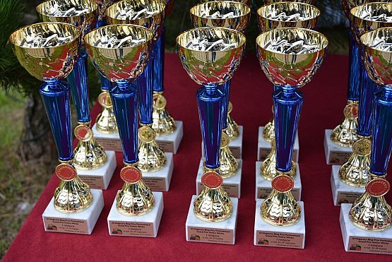 Grafika 17: IX Magiczny Bieg Przy Pochodniach