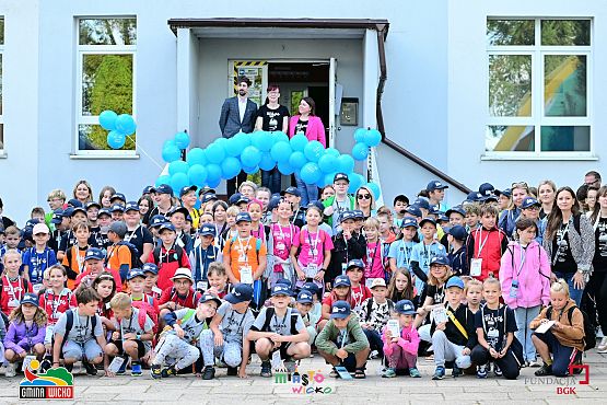 Grafika 2: Małe Miasto Wicko