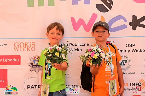 Grafika 10: Małe Miasto Wicko