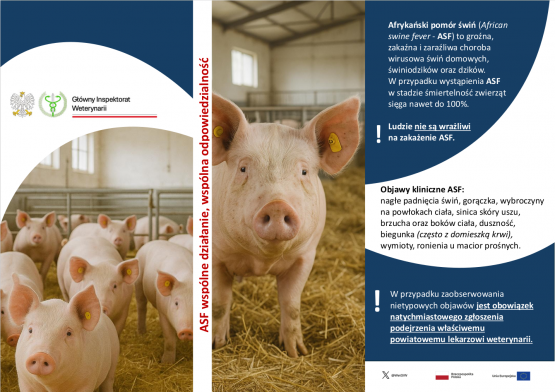 Grafika 1: Zwiększone ryzyko ASF – ważny komunikat dla hodowców trzody chlewnej
