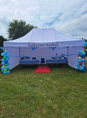 Grafika 1: "Plenerowe wiejskie kino w Sołectwie Sarbsk"